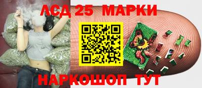 винт Заволжье