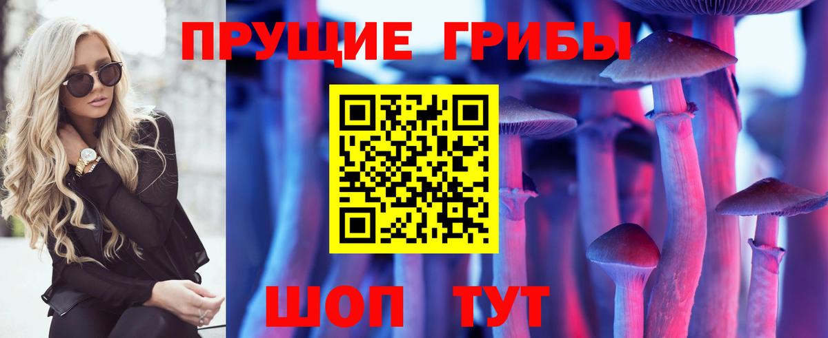 Минеральные Воды  Псилоцибиновые грибы Psilocybine cubensis  Вход с VPN 