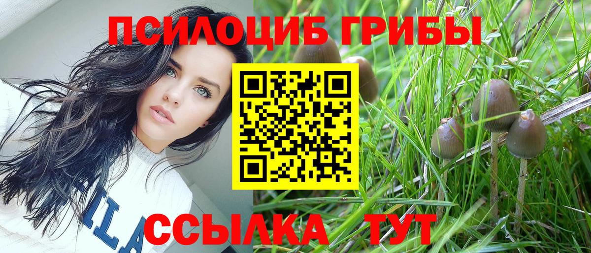 Галлюциногенные грибы Magic Shrooms Минеральные Воды